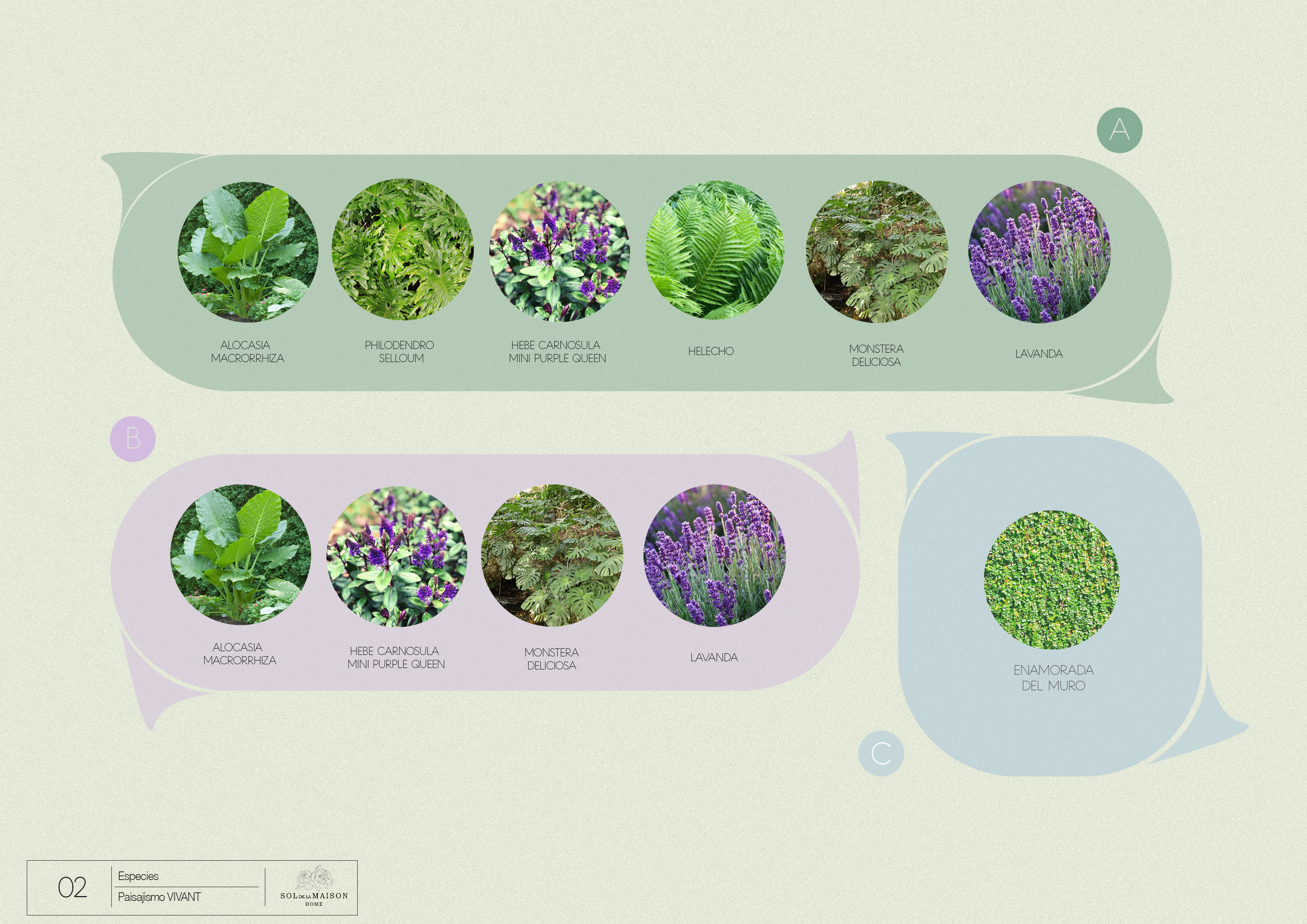 VIVANT — Residential Landscape Scheme 1