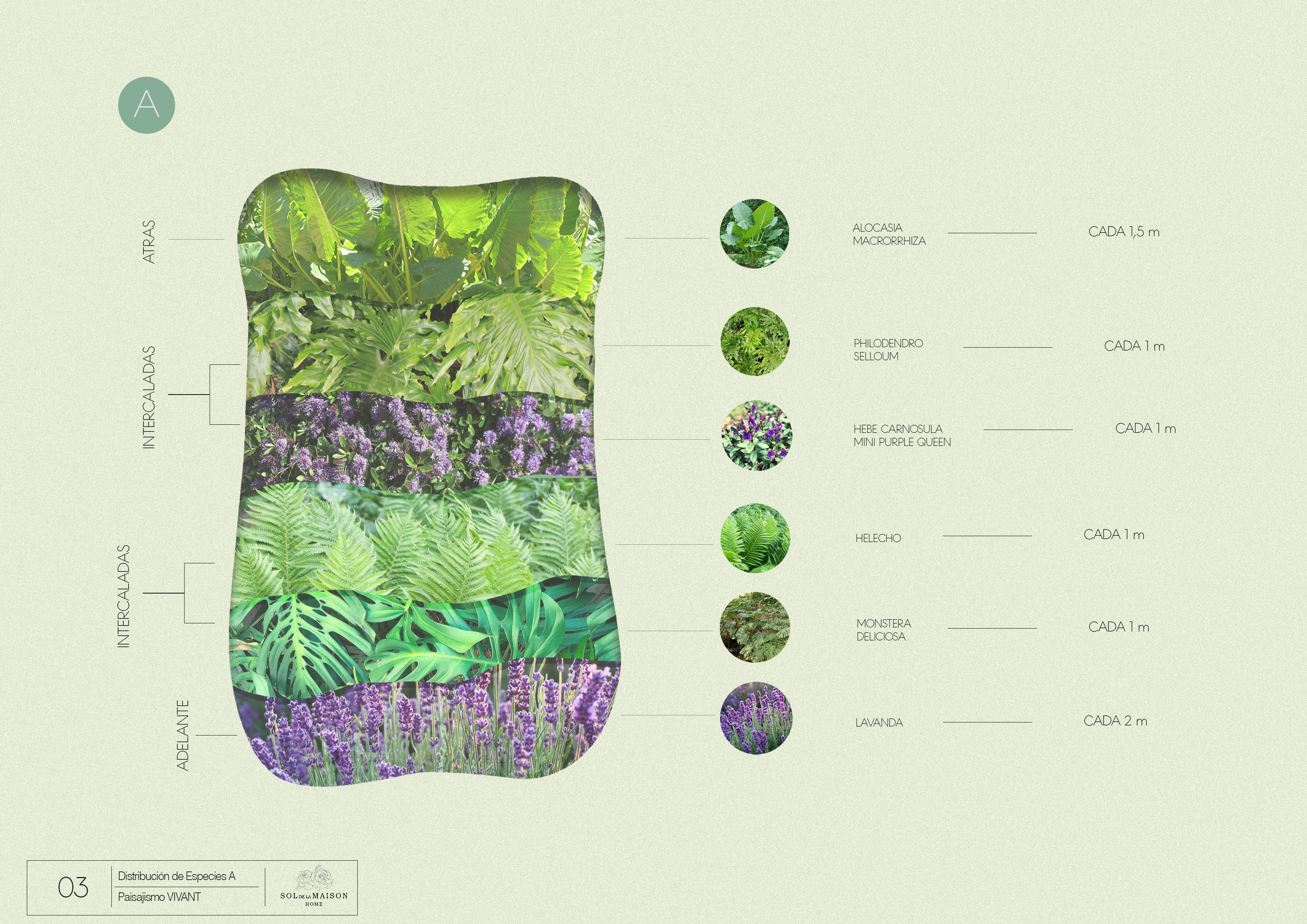 VIVANT — Residential Landscape Scheme 2