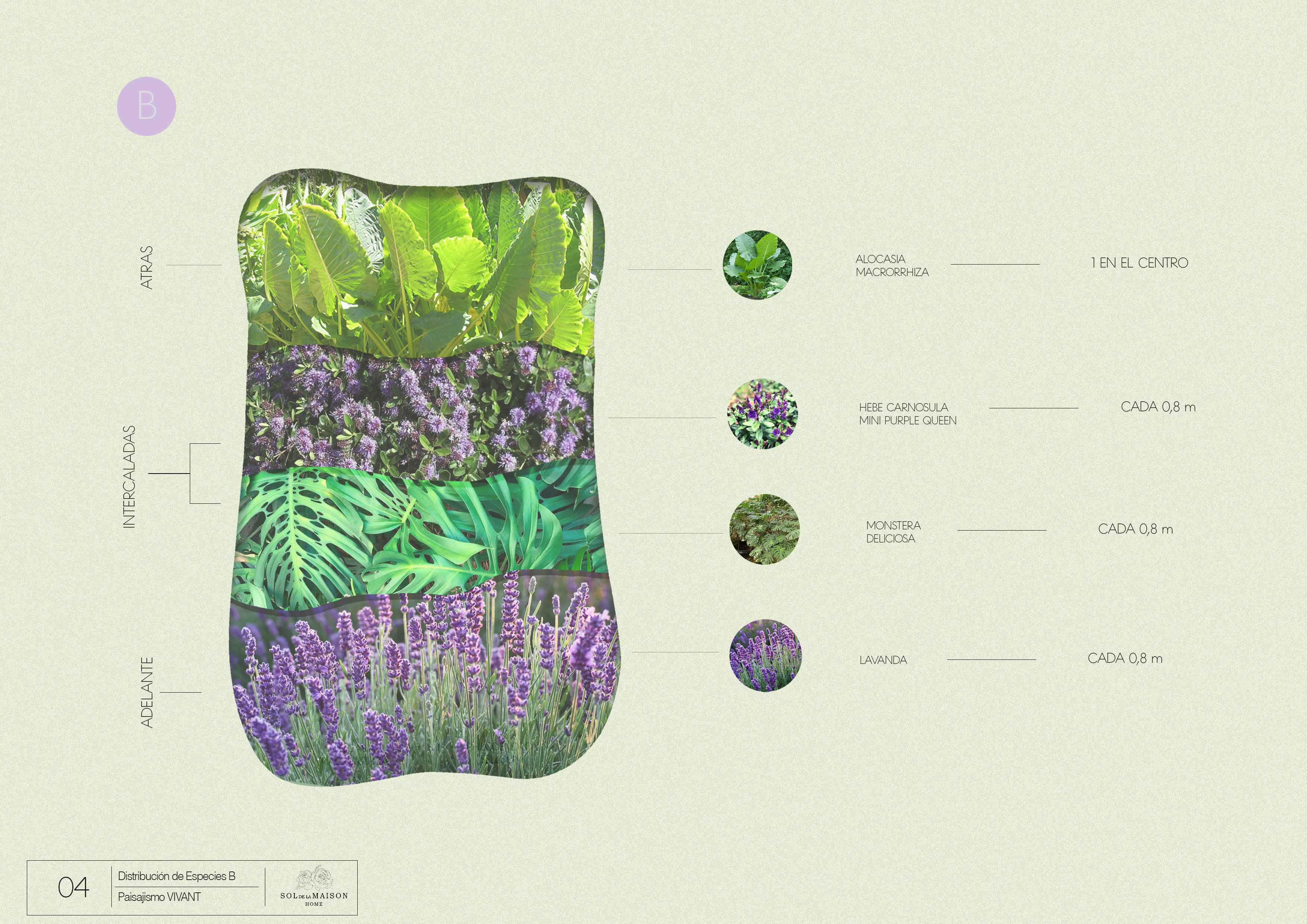 VIVANT — Residential Landscape Scheme 3