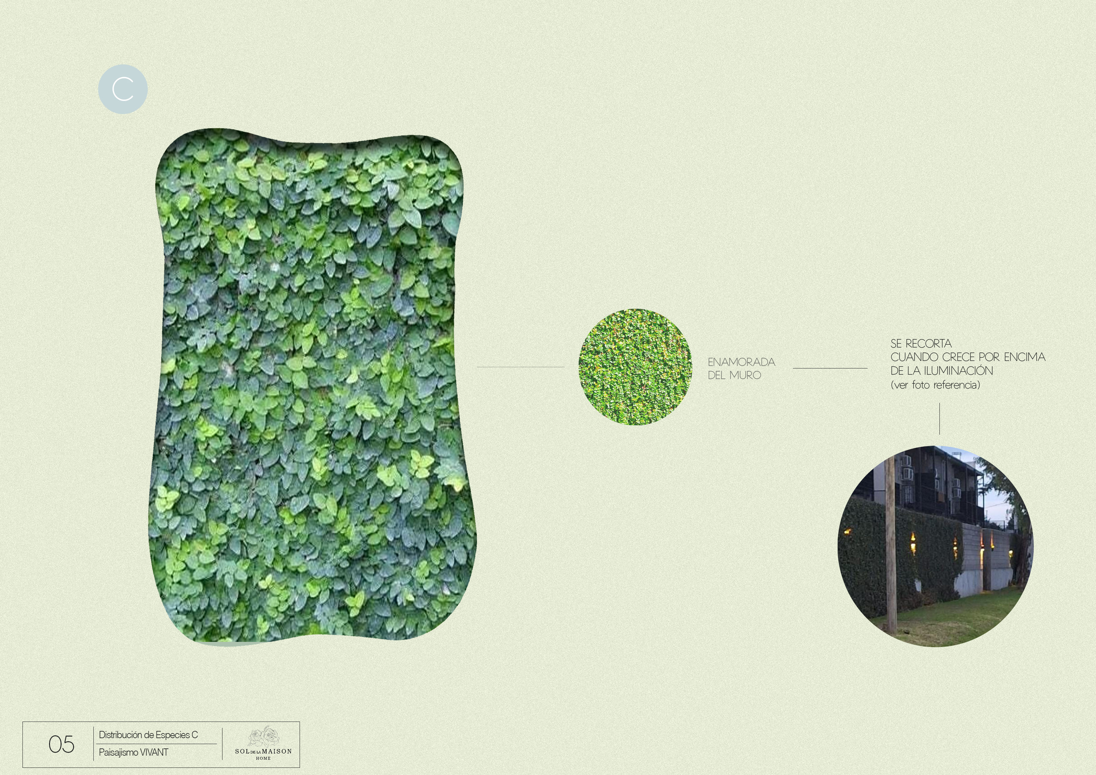 VIVANT — Residential Landscape Scheme 4